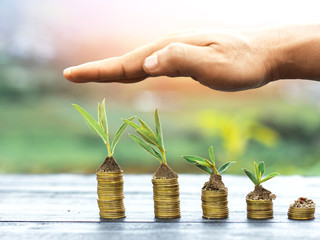 Human hand Protective coin stack and plant,growing money,finance and investment concept,,nature background.