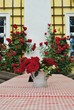 Róże na stole w romantycznym ogrodzie