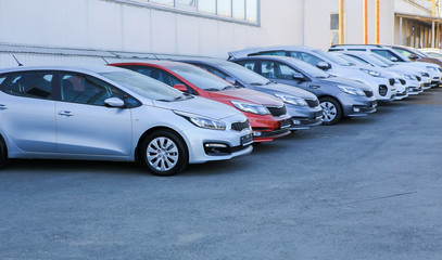 Sticker - Cars For Sale Stock Lot Row