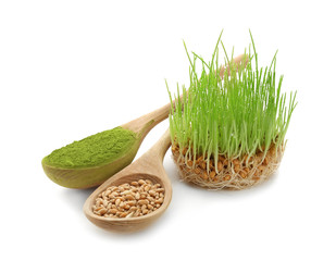 Composition with sprouted wheat grass on white background