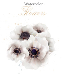 Canvas Print - White poppies flowers isolated Vector. Beautiful wedding card. Delicate backgrounds