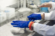 Hands of the laboratory assistant labelled Petri dishes inside an a sceptic fume hood in a microbiology laboratory setup