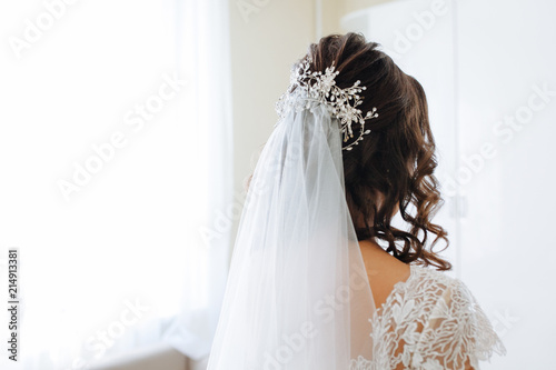 Fotomural Portrait of attractive young woman with beautiful hairstyle and stylish hair acc