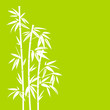 Bamboo White/Green