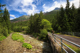 Fototapeta Natura - Koprova valley dolina in Slovak High Tatras under Krivan 