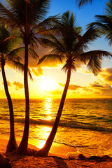 Naklejka słońce tropikalny brzeg plaża niebo
