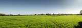 panorama of green farm land
