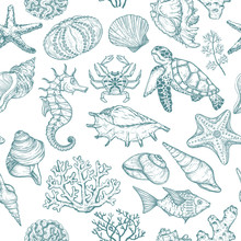 Seamless Pattern With Sketch Of Seal Ocean Life Organisms Shells, Fish, Corals And Turtle.