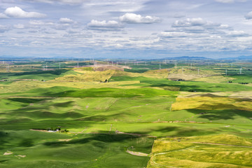 Palouse Region of Washington