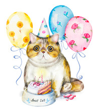 Composition With Exotic Cat In Cap, Bowl With Cake, Candies And Flying Balloons. Watercolor Pencils Illustration Isolated On White Background