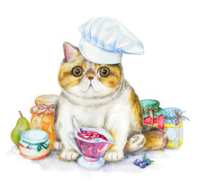 Composition With Exotic Cat In Chef's Cap, Jars Of Jam And Fruit. Watercolor Pencils Illustration Isolated On White Background