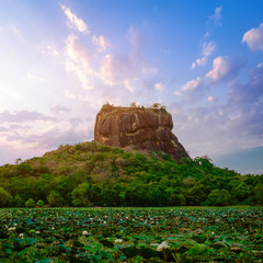 Wall Mural - Amazing sunset view of Lion Rock. Sigiriya, Sri Lanka