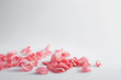Beautiful rose petals scattered on light background