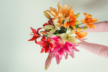 Woman's Hands Hold Bouquet Of Flowers Lilies
