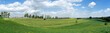 Panorama - Traktor bei der Ernte von Grünfutter auf einem Feld im Frühling
