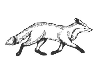 Wall Mural - Running fox animal engraving vector illustration