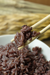 Canvas Print - A Cooked rice berry ,Whole grain rice Thai black jasmine rice in bowl  on wood table.