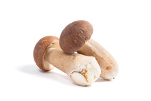 Two Porcini Mushroom Known As Boletus Edulis Isolated On White Background.