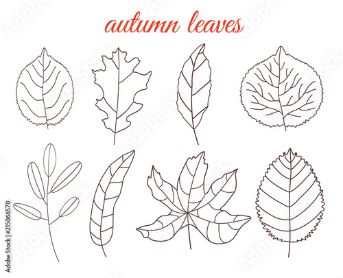 Autumn Leaves Line Art Set Isolated On White Background Simple Cartoon Flat Style Vector Illustration Buy This Stock Vector And Explore Similar Vectors At Adobe Stock Adobe Stock