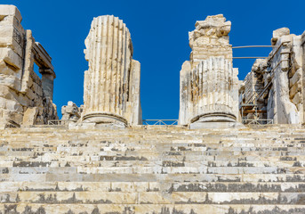 Wall Mural - Apollo Temple at Didyma in Didim,Aydin,Turkey.