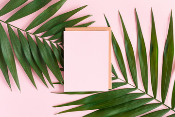 Stylish minimal composition with blank colour paper and green leaves on a pink pastel background. Artwork mockup with copy space