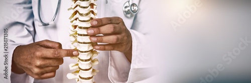 Cuadros en Lienzo Doctor pointing an anatomical spine