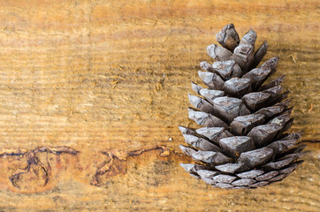 Wall Mural - Brown pine and cedar cones on wooden background