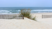 Early Morning At Vagueira Beach With Sea Oats And Dune Fence In Aveiro, Portugal