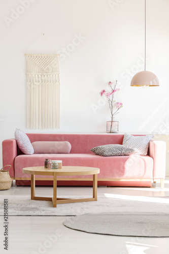 Fotografie, Obraz Soft, warm living room interior with a cozy, velvet sofa, millennial pink decora