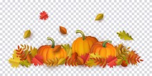 Autumn Leaves And Pumpkins Pattern On Transparent Background. Seasonal Floral Maple Oak Tree Orange Leaves With Gourds For Thanksgiving Holiday, Harvest Decoration Vector Design.