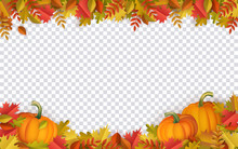 Autumn Leaves And Pumpkins Border Frame With Space Text On Transparent Background. Seasonal Floral Maple Oak Tree Orange Leaves With Gourds For Thanksgiving Holiday, Harvest Decoration Vector Design.