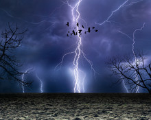 Powerful Lightnings In Dark Stormy Sky, Flock Of Flying Ravens, Weather Forecast Concept