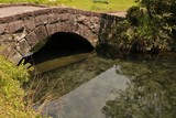 Fototapeta Do pokoju - 水が美しい明神池名水公園
