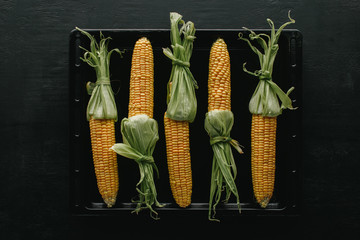 top view of fresh raw corn cobs on black baking pan on wooden tabletop