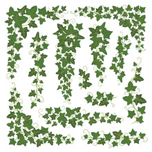 Ivy Branches Green Set