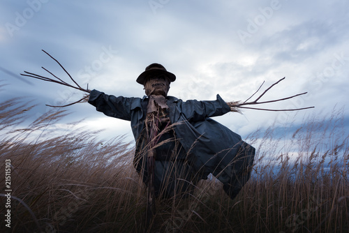 Cuadros en Lienzo Scary scarecrow in a hat on a cornfield in cloudy weather