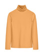 Orange turtleneck sweater isolated white