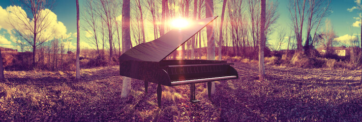 Music piano concept and nature. Surreal dream scape forest and sunset and black grand piano