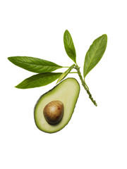 Avocado and Branch