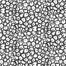 Vector Abstract Circles Decoration. Modern Geometric Dots Pattern. Doodles Black White Bubbles Design. Hand Drawing Elements.