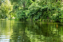 Scenic View Of Beautiful Calm Lake With Green Trees On Bank