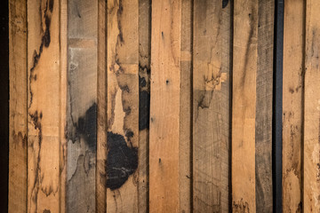 Wall Mural - wood wall textures