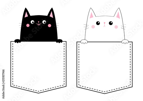 Black White Cat Set Love Couple In The Pocket Holding Paw Hands