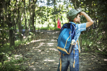 Wall Mural - Boy hiking through a forest