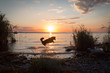 Mili the Miniature Australian Shepherd, fun in water, sunset