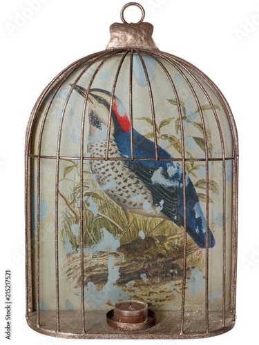 Photophore Déco Oiseau Buy This Stock Photo And Explore