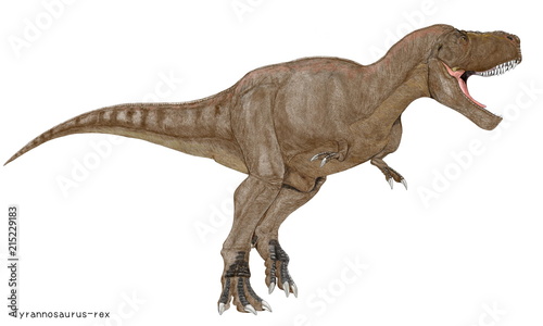 ティラノサウルス レックス 白亜紀の代表的肉食恐竜のイラスト画像 大型のために過度のカモフラージュ色を避け 茶系の体色を採用した Buy This Stock Illustration And Explore Similar Illustrations At Adobe Stock Adobe Stock
