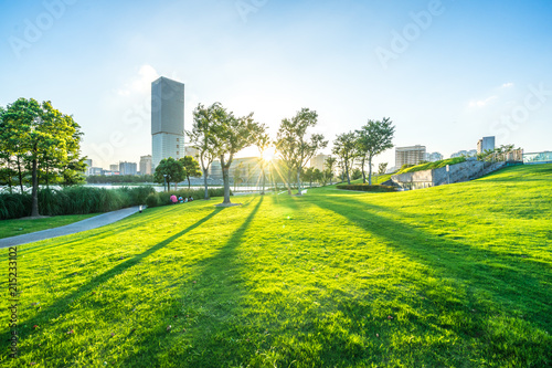 Fototapeta city skyline with green lawn