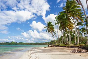 Wall Mural - amazing caribbean beach