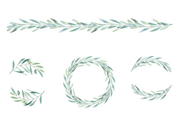 watercolor olive branch. sketch of olive branch on white background